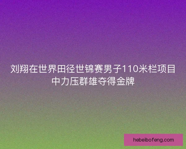 刘翔在世界田径世锦赛男子110米栏项目中力压群雄夺得金牌
