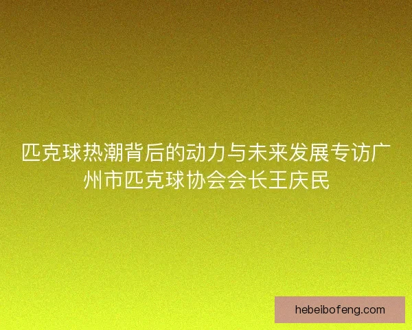 匹克球热潮背后的动力与未来发展专访广州市匹克球协会会长王庆民